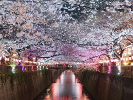 Japansk for begyndere