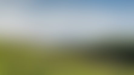 Tracking Carbon Increased Our Profit