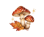 FF57B99B-8D50-4562-80F5-32EBC85B8888.PNG