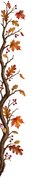 8260319E-A4B3-4E10-AF00-98570694D347.PNG