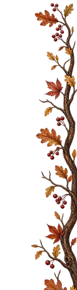 5B237192-0DD2-4248-8E4E-6DF248C11F73.PNG