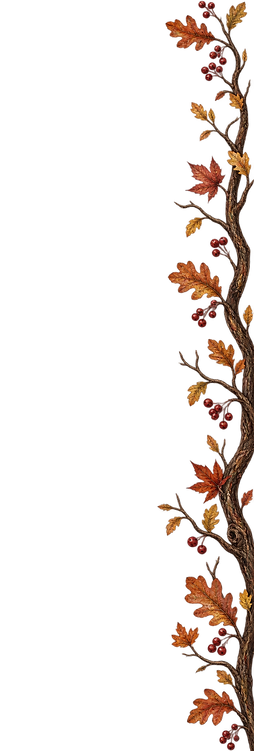 5B237192-0DD2-4248-8E4E-6DF248C11F73.PNG