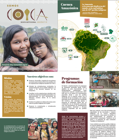 Publication by Coordination of Indigenous Organizations of the Amazon Basin