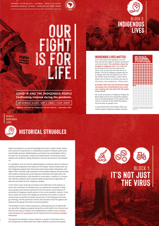 APIB report examining the impact of COVID-19 on Indigenous communities across the Brazilian Amazon