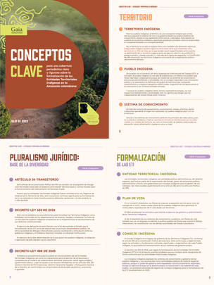 Overview of a publication by Gaia Amazonas about the key concepts to understand the establishment of 'Indigenous Territorial Entities' in Colombia