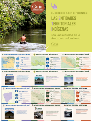 Overview of a publication by Gaia Amazonas about the establishment of 'Indigenous Territorial Entities' in Colombia