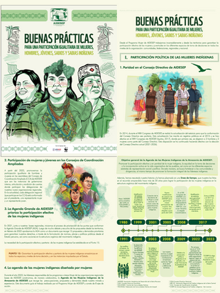 overview of AIDESEP publication about indigenous peoples in the Peruvian Amazon.