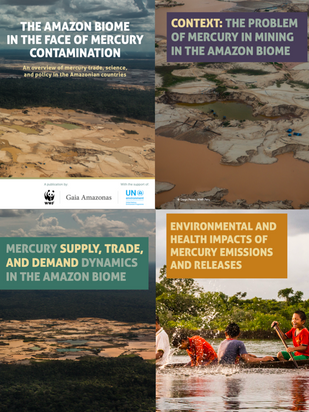 Overview of a publication about mercury contamination in the Colombian Amazon