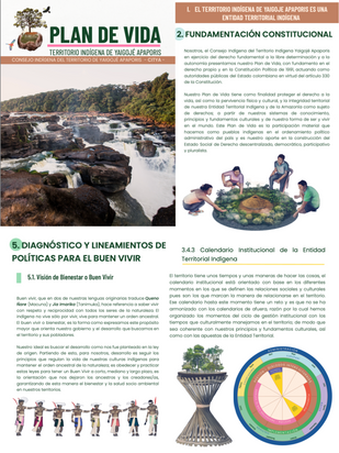 Overview of a publication called Plan de vida - Life plans for the indigenous territories that make up the Macroterritory of the Jaguars of Yuruparí' in the Colombian Amazon