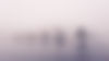 44391.jpg
