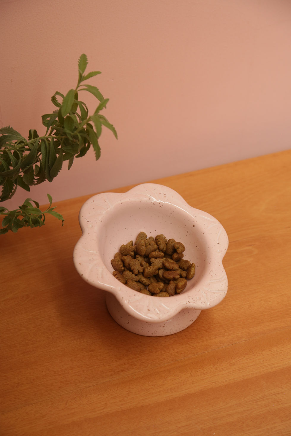 Miniatura: Comedero Ardilla