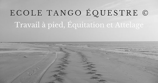 ECOLE TANGO EQUESTRE_AMBRE CAPICCINIjpg
