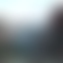 11/4 Roosevelt Dam Tour