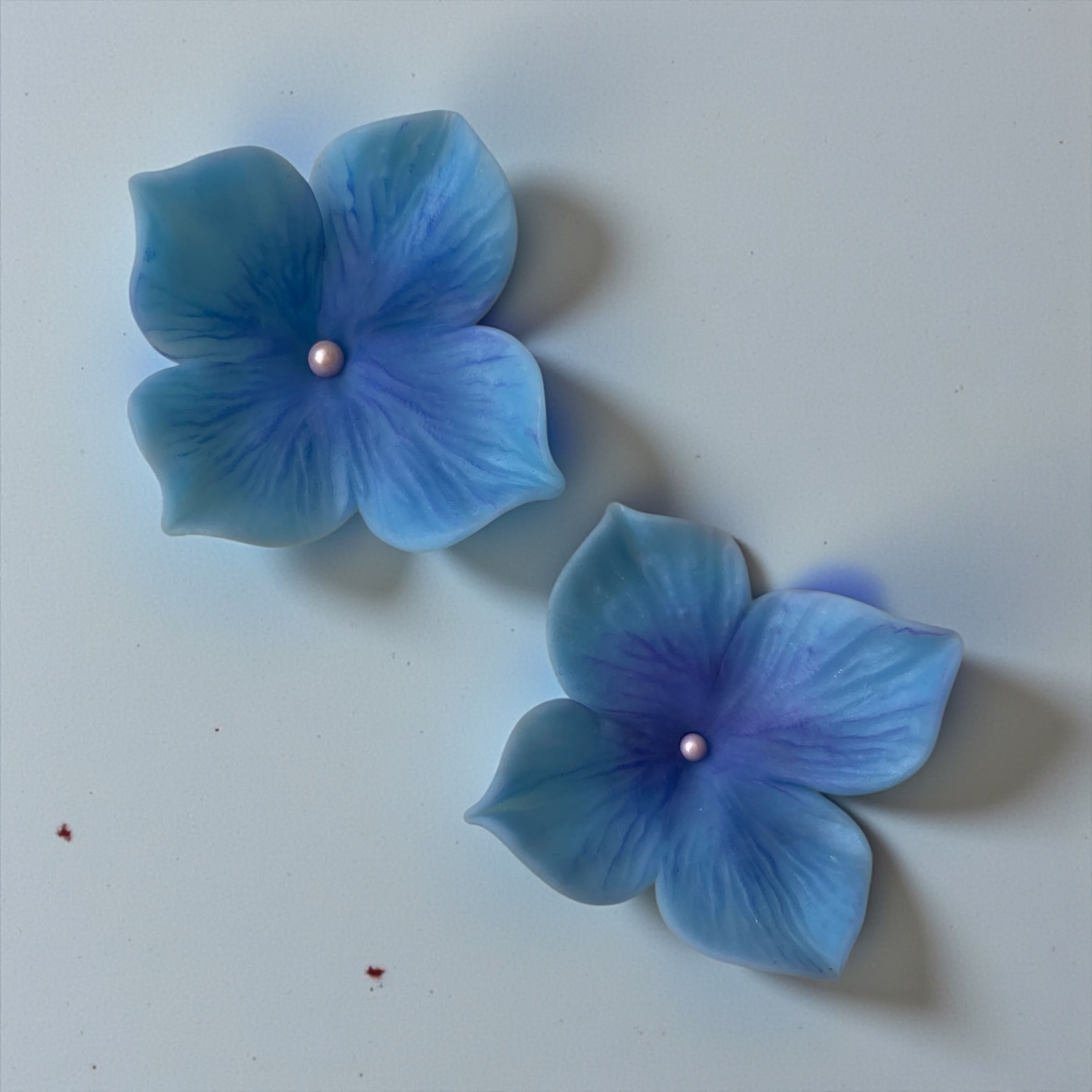 Hortensias 