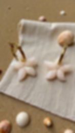 Miniatura: Argollitas Marinas 