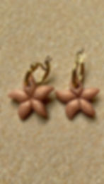 Miniatura: Argollitas Marinas 