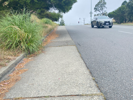 The Hill