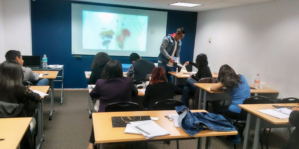 Curso Mesoterapia Corporal en linea