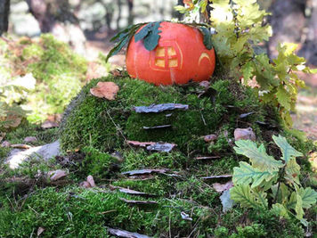 27 вересня – День туризму!