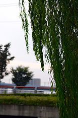 WeChat Image_20230211134713.jpg