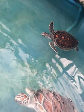 WeChat Image_20230211134806.jpg