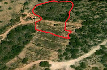 consolidació de fites