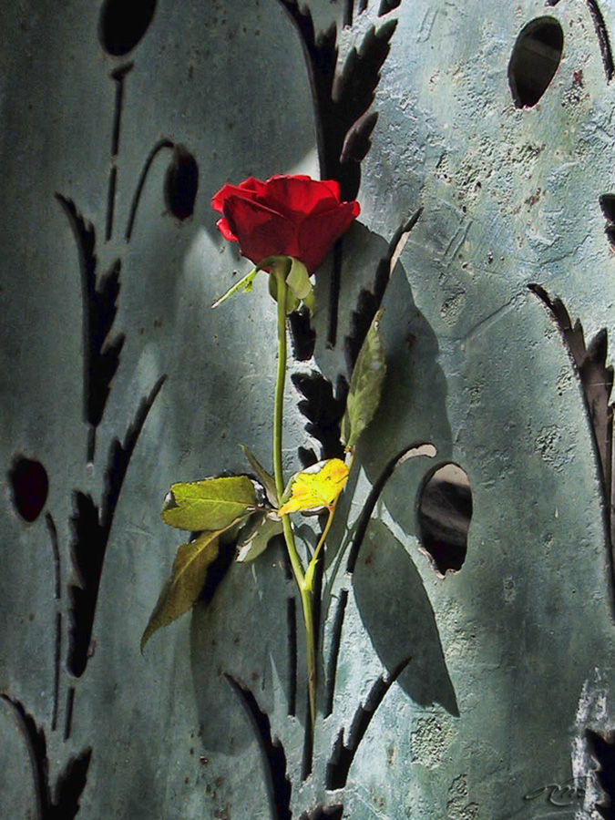 Tombe de Haussma - 1233