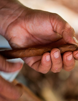 Rolling a Cigar
