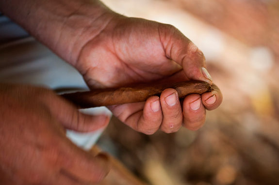Rolling a Cigar