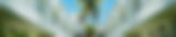 inside-lush-condo-banner-768x163.jpg