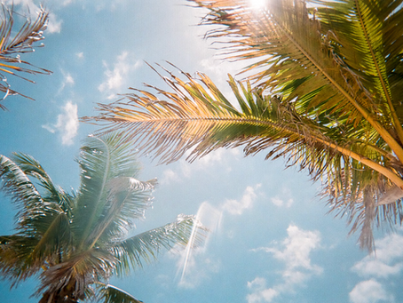 Seasonal Living: What to Expect from the Weather Across Asia