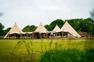 tipi riley green.webp