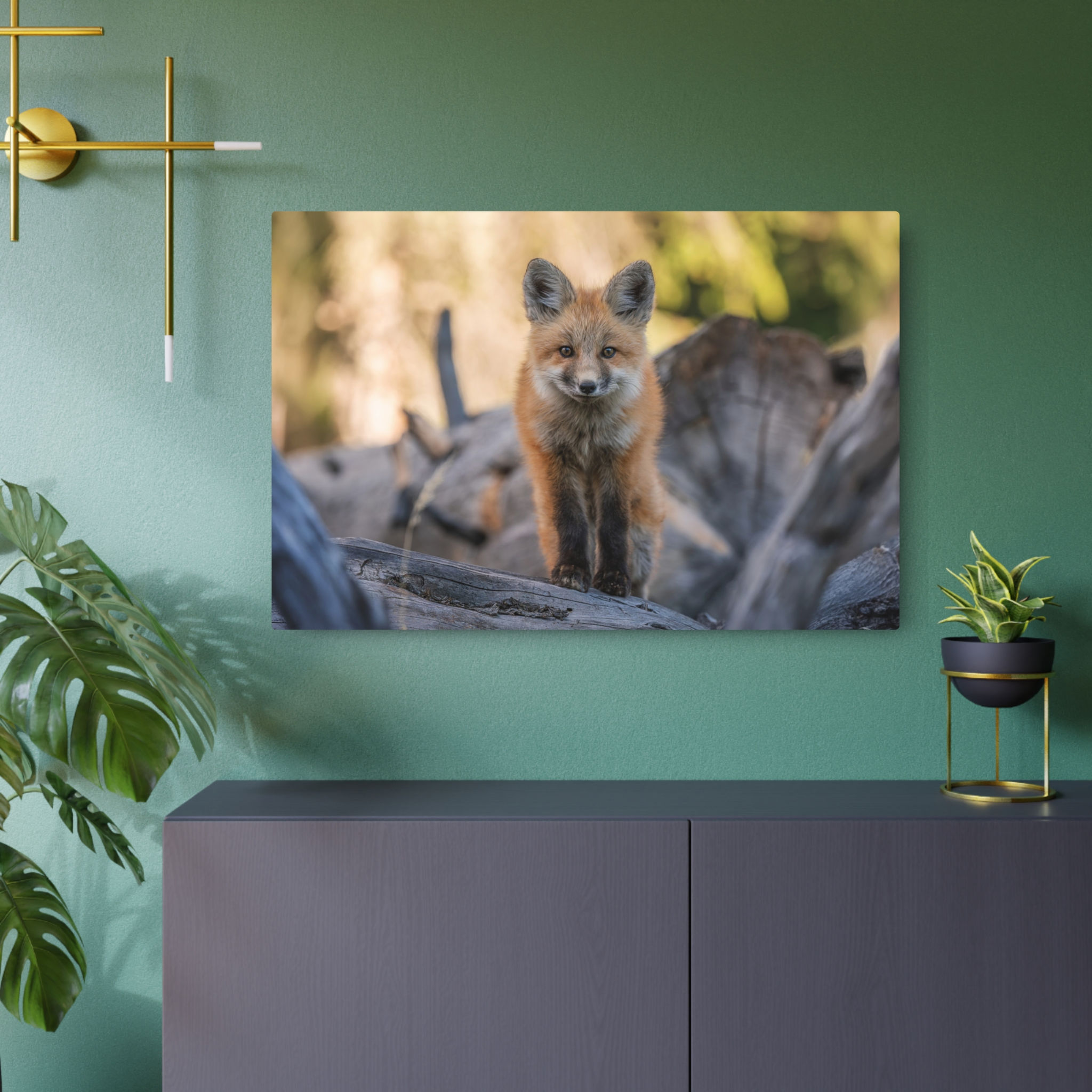 Fox Kit on logs | Yellowstone - ASC Wildlife - Metal Fine Art Print