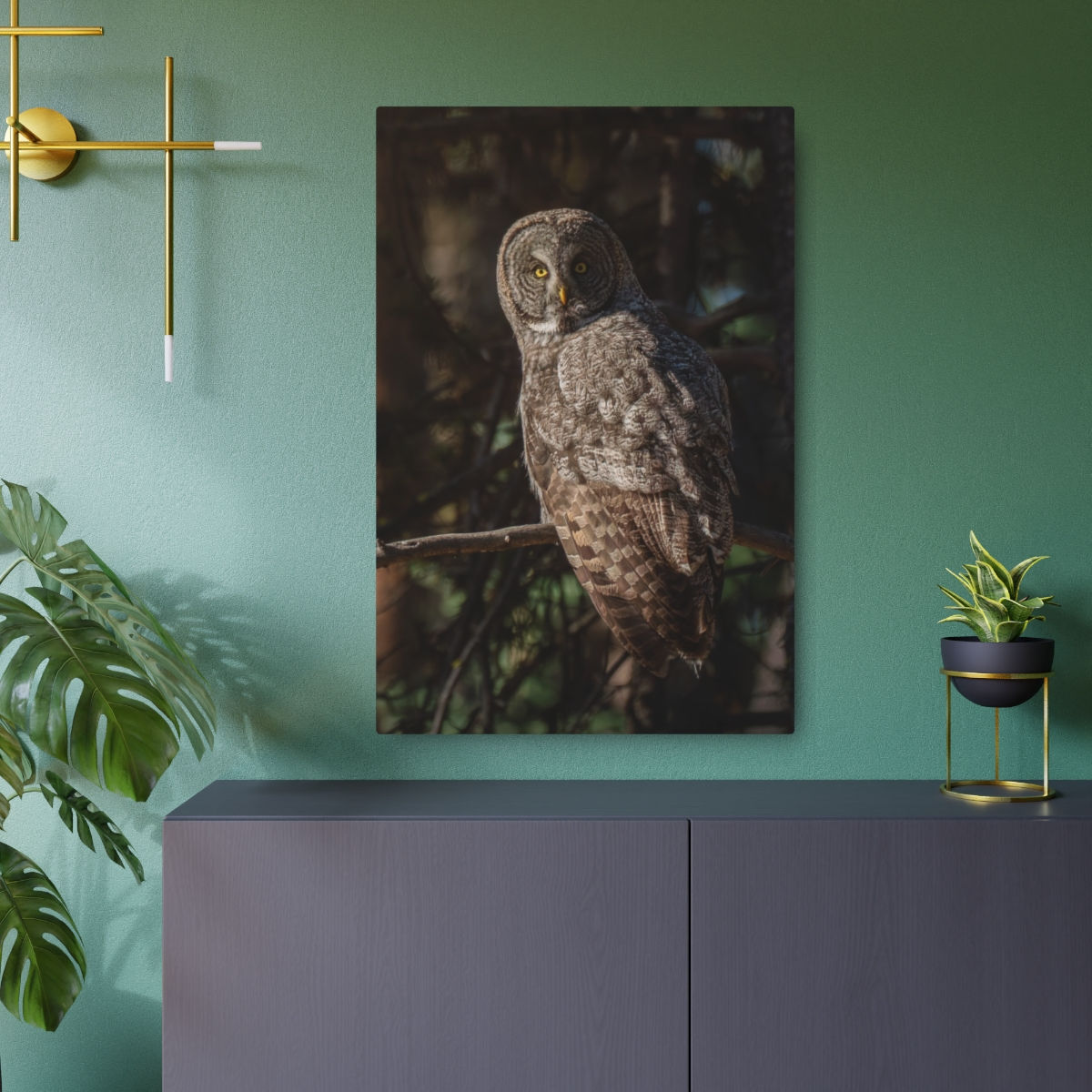 Great Gray Owl on perch - ASC Wildlife | Metal Fine Art Print