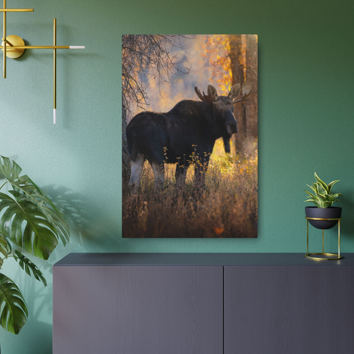 Bull Moose - Autumn - ASC Wildlife - Metal Fine Art Print