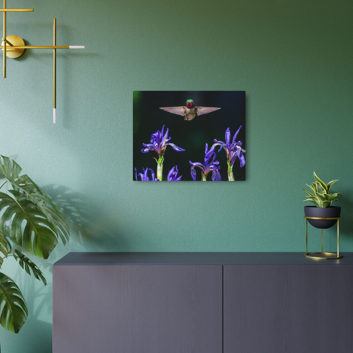 Hummingbird Flowers - ASC Wildlife | Metal Fine Art Print