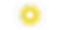 cus ts.png