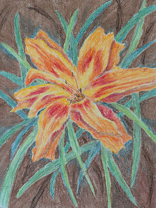 Double Daylily.jpg
