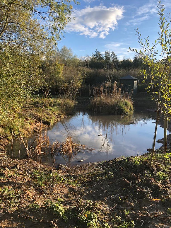 cardales pond.JPG