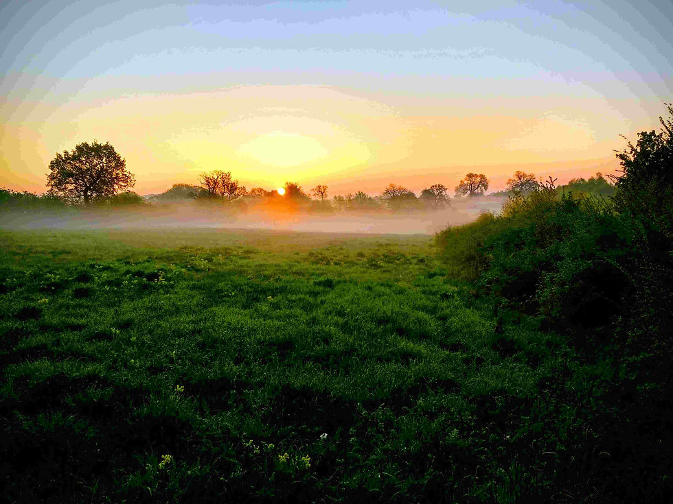 cardales sunrise.jpg