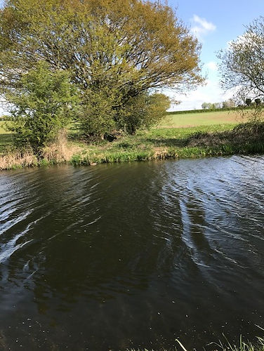 canal.jpg
