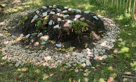 Mini Butterfly Bank.jpeg