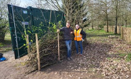 construct dead hedge.jpeg