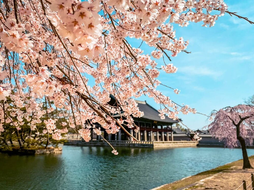 Kids Korean Semester 1 Part 1