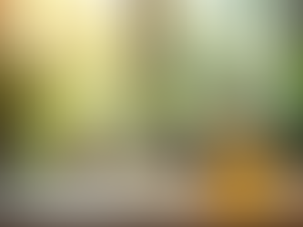 Stay Protected Naturally with Botanical Blends Bug Off: Your Guide to Natural Bug Repellents