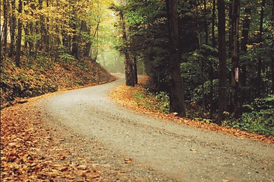 good looking gravel road in woods.jpg