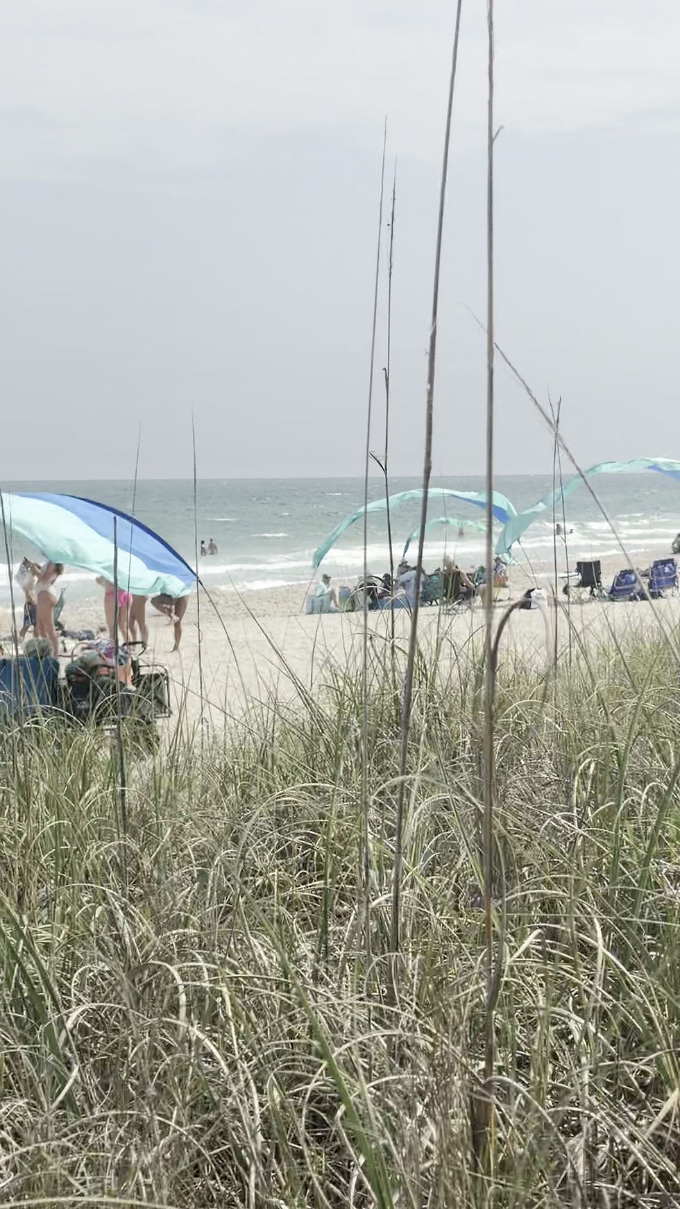 Thumbnail: Daily Shade Beach Rental