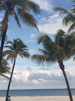 71515942_2643147529085634_1558237838913306624_n