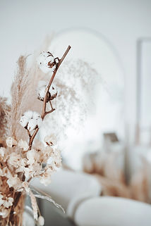 unsplash-udvq8tFiYqA_edited.jpg
