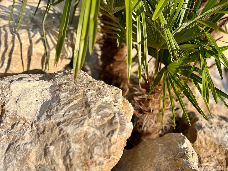 Enrochement véritable rocher calcaire La Batisse Rahon 39120